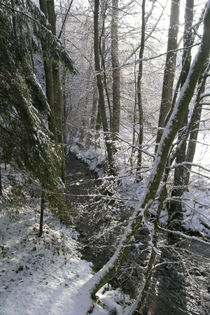 2010-01-31-G1-14