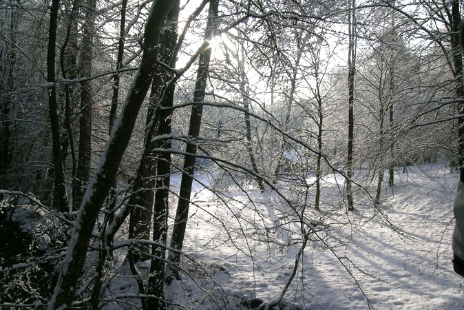 2010-01-31-G1-15