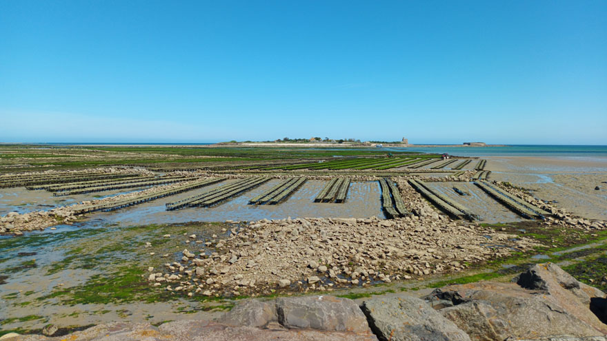 20220626-Normandie1-14